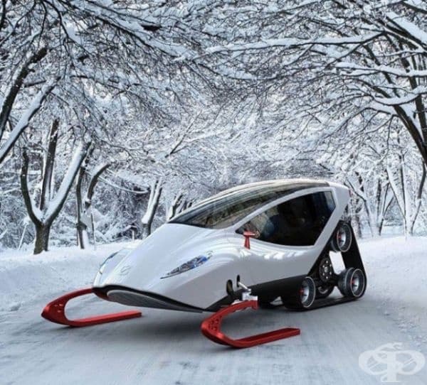 Моторна шейна за забавления (Snow Crawler) е толкова известна сред снегомобилите, колкото Ламборджини (Lamborghini) сред автомобилите.