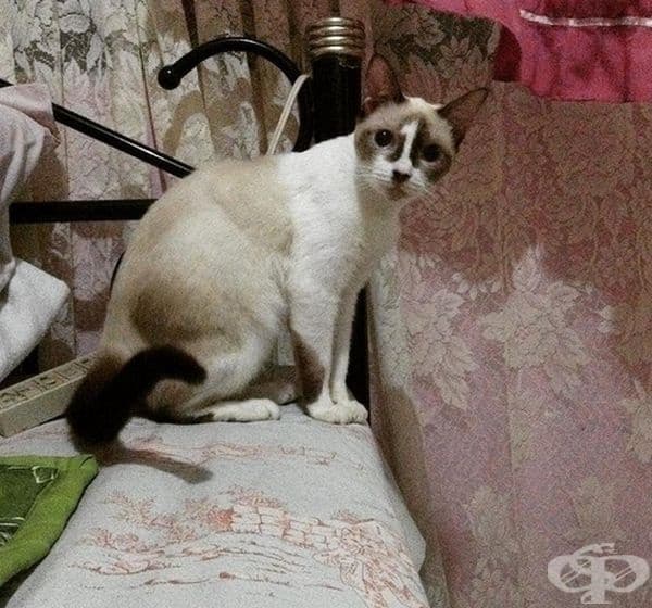 Когато природата ви белязва с номер 1, нямате право да я разочаровате.