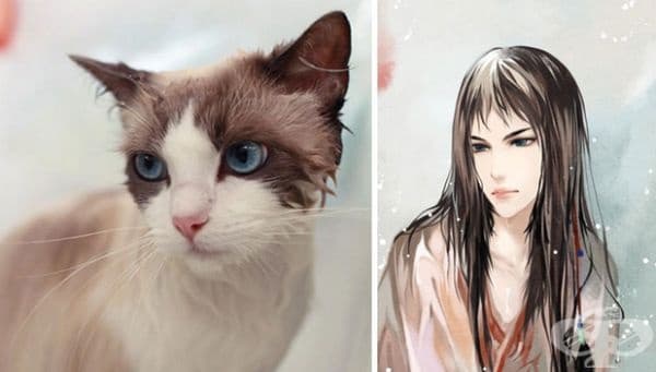 20 изображения на герои с визия, вдъхновени от различни кучета и котки