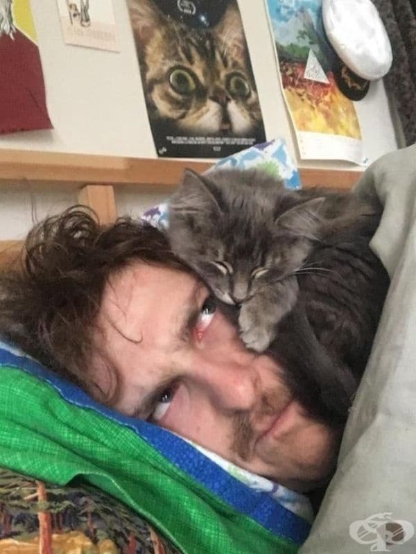 Котката буквално ще ви се качи на главата. Но вие все още ще я обичате, нали?