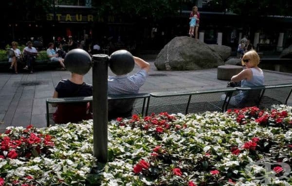 40 невероятно сполучливи и забавни снимки по света