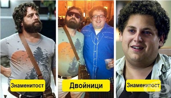 Дори Зак Галифианакис и Джона Хил могат да видят тази прилика.