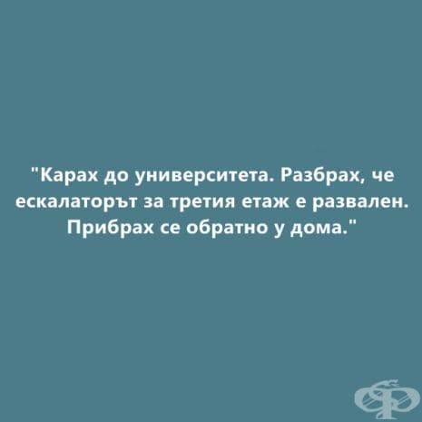 Най-веселите признания от мързеливци vs най-негативните последствия от мързела според учените