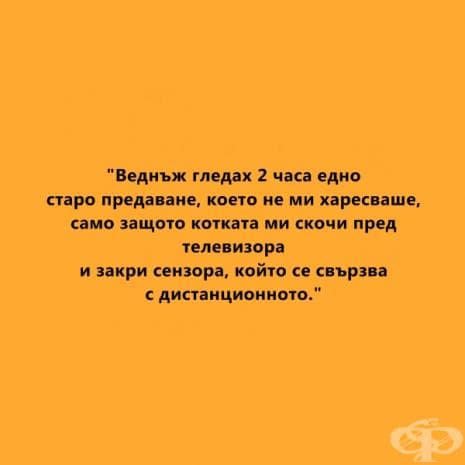 Най-веселите признания от мързеливци vs най-негативните последствия от мързела според учените