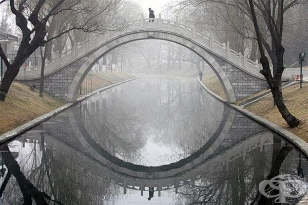 25 изумителни снимки от различни части на света, които ще докоснат сетивата ви