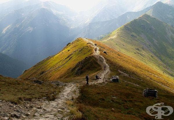 25 изумителни снимки от различни части на света, които ще докоснат сетивата ви