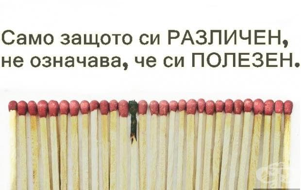 Проста и тъжна истина