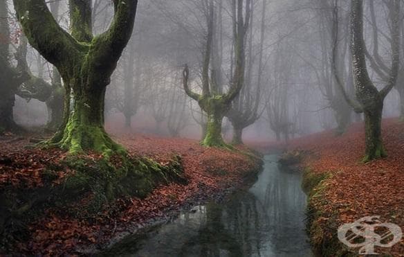 Отзарета, Испания