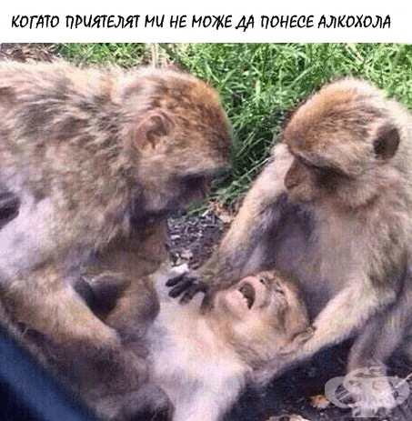 Няколко забавни снимки на "онзи приятел", който всички имаме
