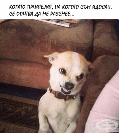 Няколко забавни снимки на "онзи приятел", който всички имаме