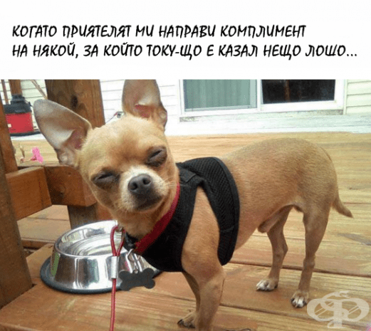 Няколко забавни снимки на "онзи приятел", който всички имаме
