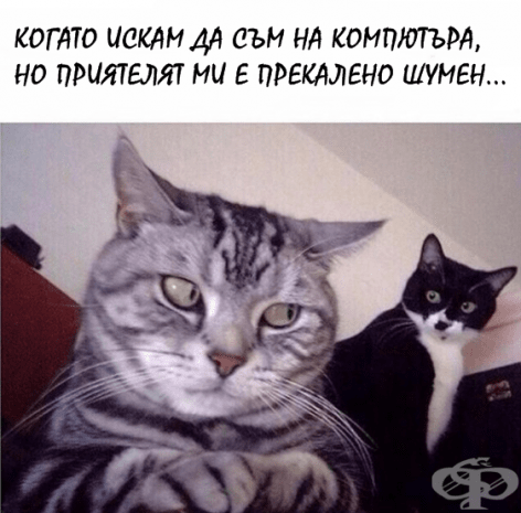 Няколко забавни снимки на "онзи приятел", който всички имаме