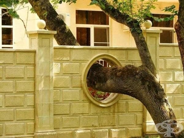 Най-вдъхновяващите начини, по които човечеството е уважило природата