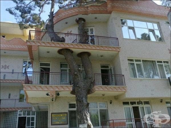 Най-вдъхновяващите начини, по които човечеството е уважило природата