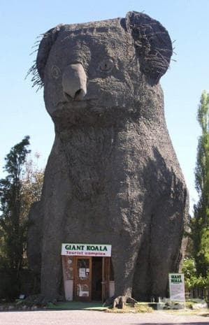 Гигантска коала