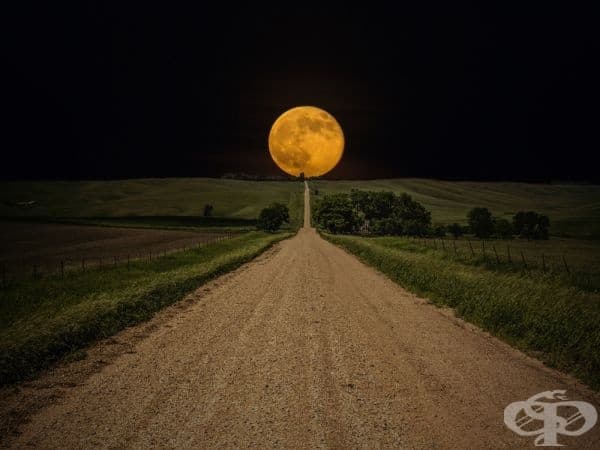 Път за никъде, Южна Дакота (Фотограф: Aaron J. Groen).