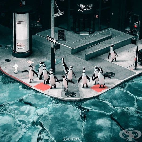 Френски дигитален художник използва умело Photoshop и създава фантастични животни