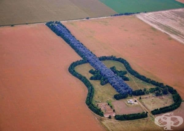 Гора във формата на китара.