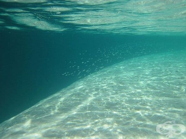 Подводният край на света изглежда по този начин.