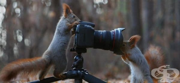 Фотографът и моделът