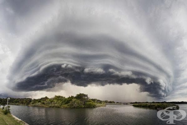 20 фотографии на Джейсън Уейнрайт