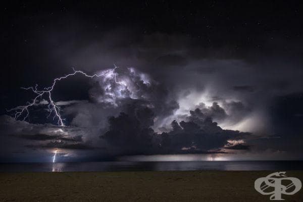 20 фотографии на Джейсън Уейнрайт
