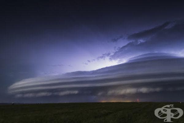 20 фотографии на Джейсън Уейнрайт