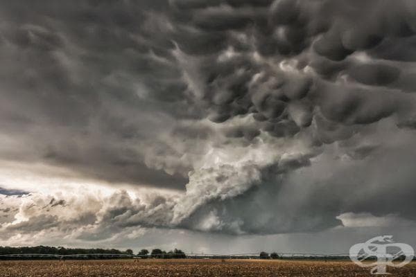 20 фотографии на Джейсън Уейнрайт