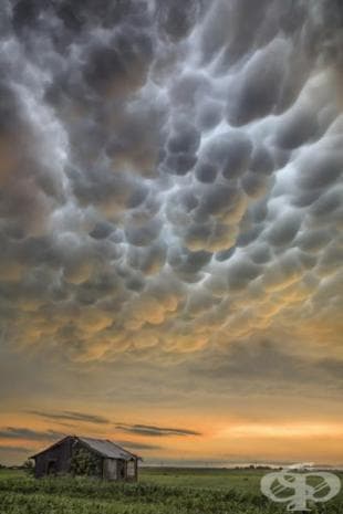 20 фотографии на Джейсън Уейнрайт