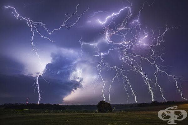 20 фотографии на Джейсън Уейнрайт