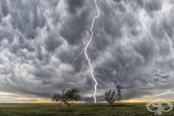 20 фотографии на Джейсън Уейнрайт