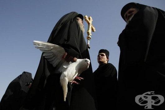 Най-красивата и провокативна галерия, която сте виждали (2 част)