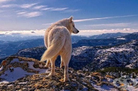 Най-красивата и провокативна галерия, която сте виждали (2 част)