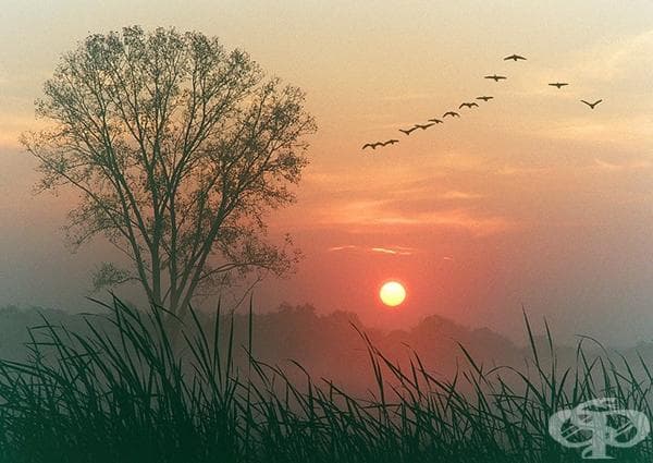 23 вълшебни и наистина невероятни изгрева