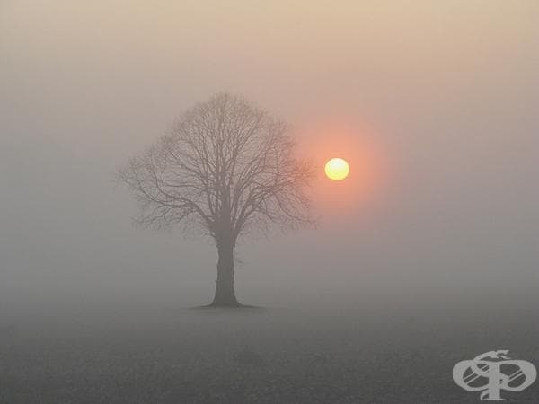 23 вълшебни и наистина невероятни изгрева