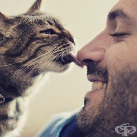 Мъже с котки е най-новата мода в Инстаграм