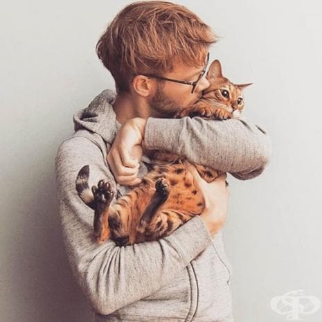 Мъже с котки е най-новата мода в Инстаграм