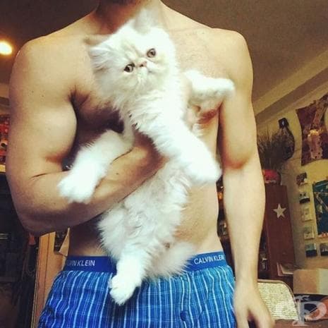 Мъже с котки е най-новата мода в Инстаграм