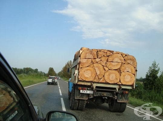 30 снимки, които ще удовлетворят всеки перфекционист