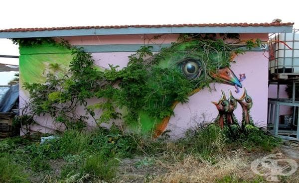 Птица, Атина, Гърция