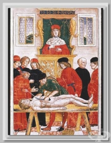  1493       .     "Fasciulus Medicine"    .