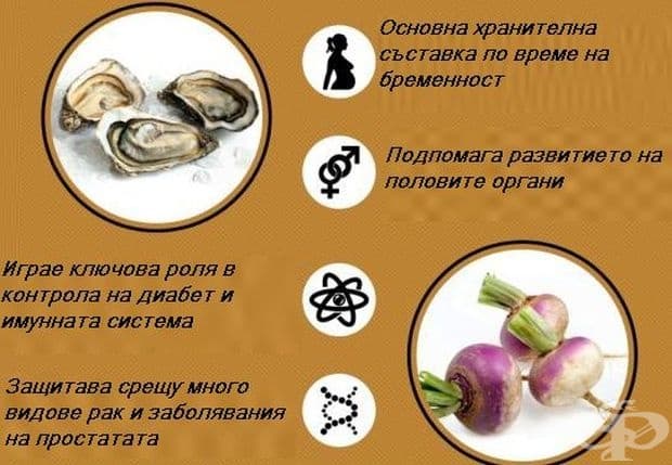 Цинкът намалява риска от рак и се грижи за косата и кожата