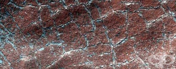 Дъното на някогашен воден басейн.