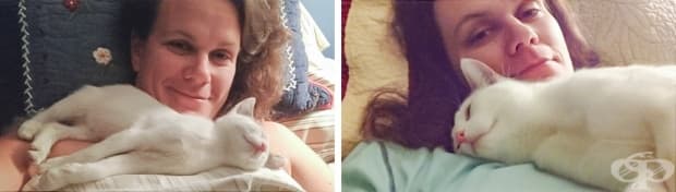 17 котки, които не са забелязали колко много са пораснали