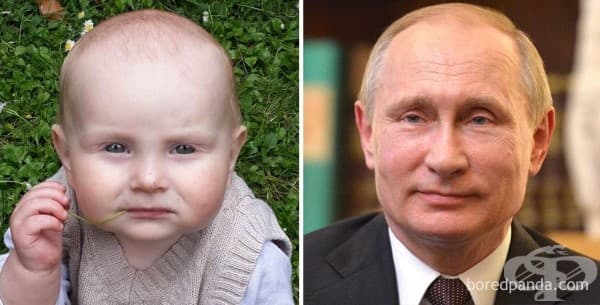 Бебе # Владимир Путин