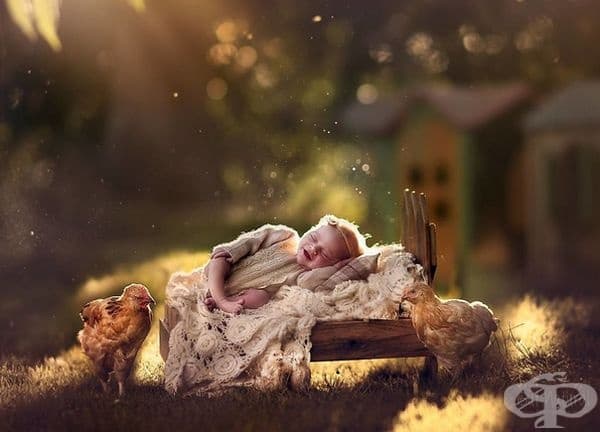 20 прекрасни снимки на бебета с животни