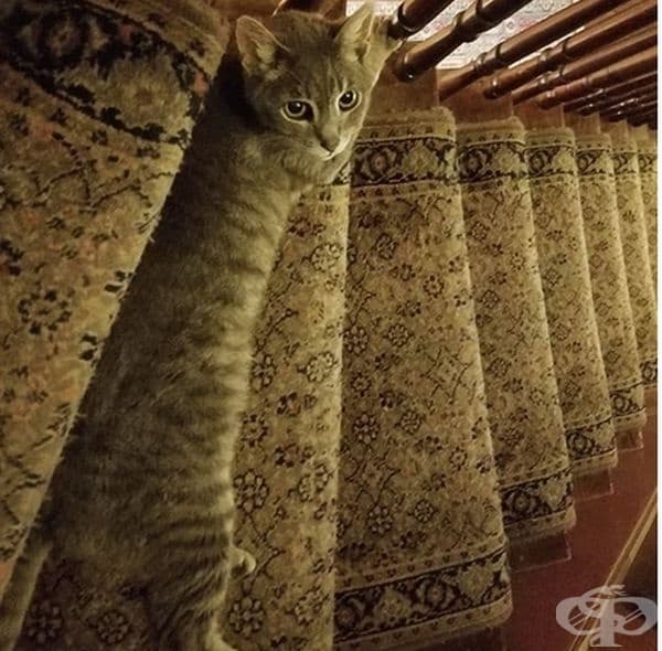Момент, да си почине, на цялото стъпало.