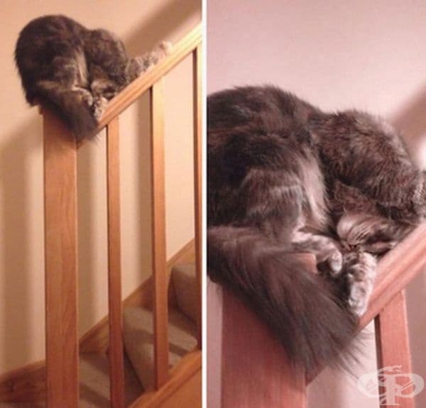Вероятно й е удобно.