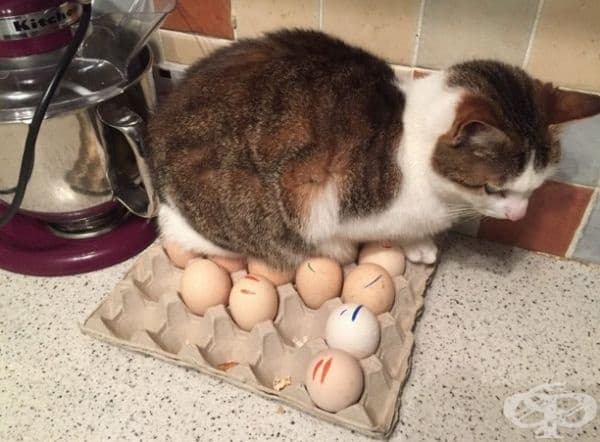 Много подходящо място за почивка.