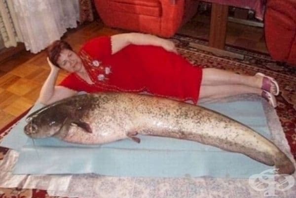 Един голям сом и една горда руска дама до него.